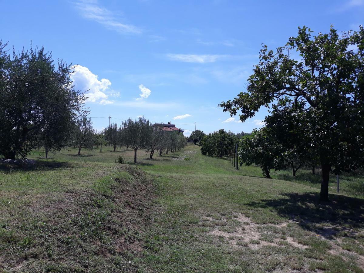 House Barizoni Villa Ankaran Dış mekan fotoğraf