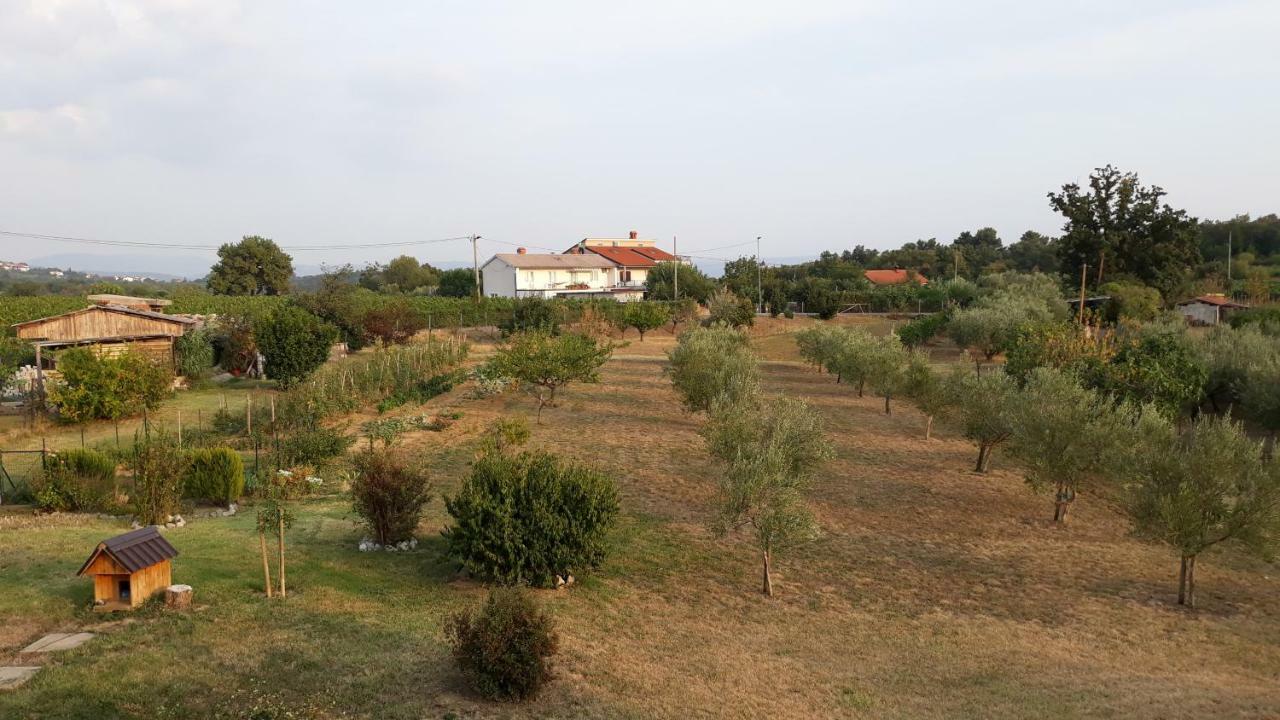 House Barizoni Villa Ankaran Dış mekan fotoğraf